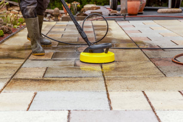 Best Solar Panel Cleaning  in Elsmere, KY